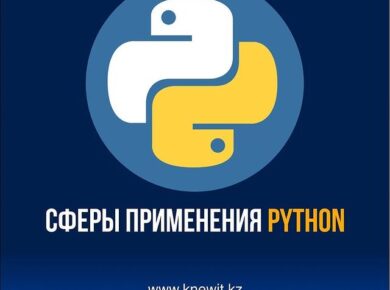 где применяется Python